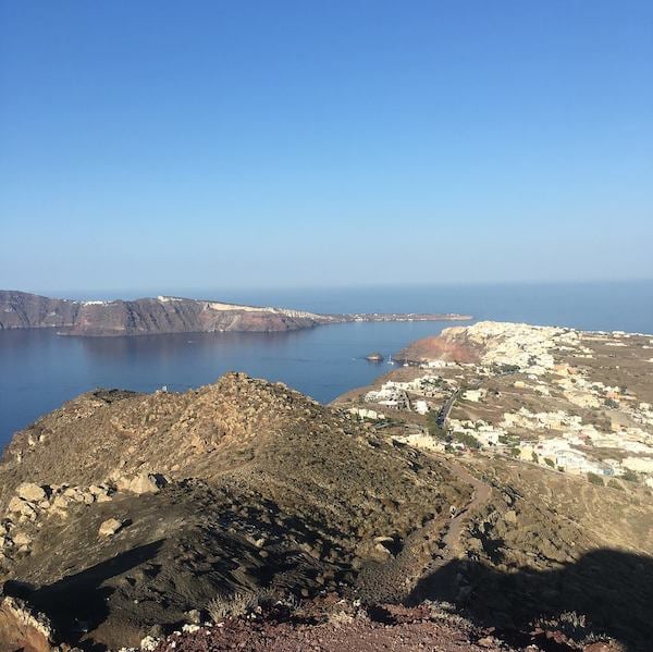Gourmet Safari Newsletter February 2026